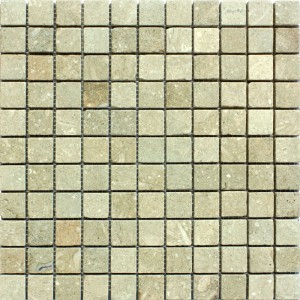 1x1 Seagrass Tumbled Limestone Mosaic