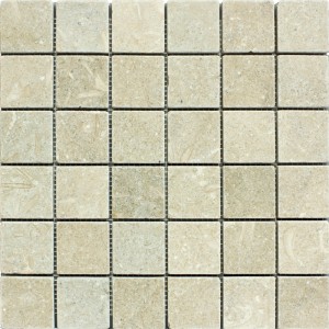 2x2 Seagrass Tumbled Limestone Mosaic