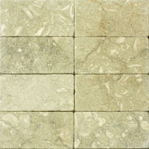 3x6 Seagrass Tumbled Limestone Tile