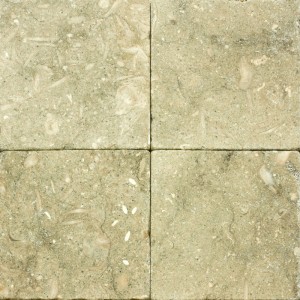 6x6 Seagrass Tumbled Limestone Tile